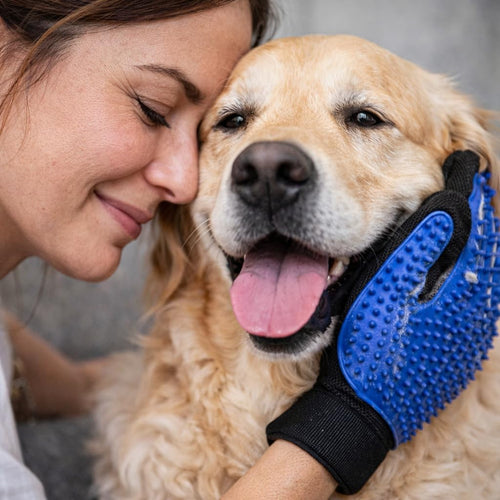Generisch Dog & Cat Grooming Glove - Pet Hair Brush with 5-Finger Design - Removes Loose Hair, Undercoat & Dirt - Grooming Glove for Wet & Dry Fur - S&A Essentials®